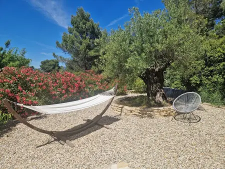 La grande Pinède, 2 Gîtes avec Clim et piscine chauffée, 1km de Faucon - Photo 12