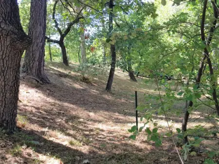 La grande Pinède, 2 Gîtes avec Clim et piscine chauffée, 1km de Faucon - Photo 33