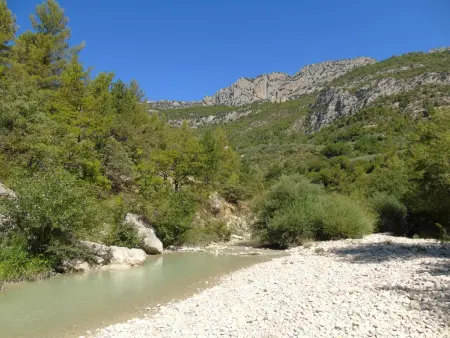 La grande Pinède, 2 Gîtes avec Clim et piscine chauffée, 1km de Faucon - Photo 53