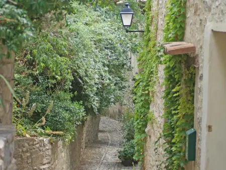 La grande Pinède, 2 Gîtes avec Clim et piscine chauffée, 1km de Faucon - Photo 55