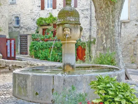 La grande Pinède, 2 Gîtes avec Clim et piscine chauffée, 1km de Faucon - Photo 57