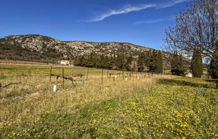 Maison 7 personnes à Malaucène - Photo 19