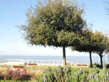 Maison de pêcheur en bord de mer à Fouras, 3 chambres - Photo 13