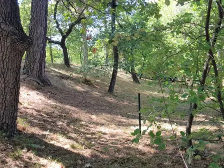 La Pinede, Gîte avec Clim et piscine chauffée, 1 km de Faucon - Photo 39