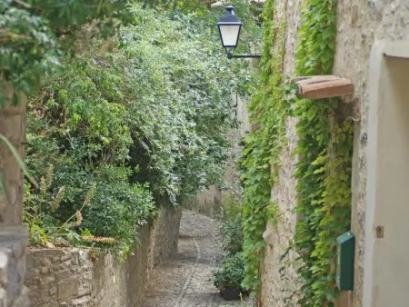 La Pinede, Gîte avec Clim et piscine chauffée, 1 km de Faucon - Photo 41
