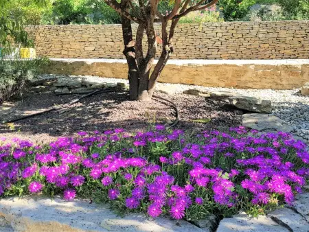 La petite Pinede, Gîte joliment décoré avec Clim et piscine chauffée - Photo 15