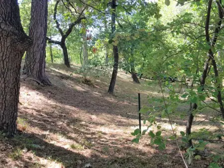 La petite Pinede, Gîte joliment décoré avec Clim et piscine chauffée - Photo 30