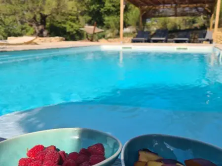 La petite Pinede, Gîte joliment décoré avec Clim et piscine chauffée - Photo 36