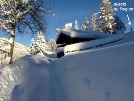 Chalet 8 pers, accès direct aux pistes, parking - Photo 24