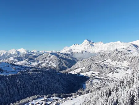 Chalet 8 pers, accès direct aux pistes, parking - Photo 29