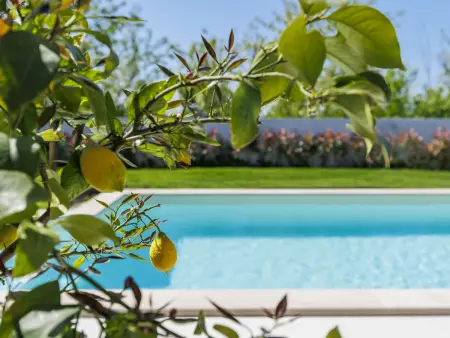 Villa Sonja, Maison 6 personnes à Buje - Photo 42