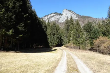 Baita la Ciamorza, Chalet à Auronzo près des Dolomites & Lac - Photo 31
