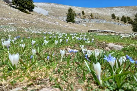 Baita la Ciamorza, Chalet à Auronzo près des Dolomites & Lac - Photo 32