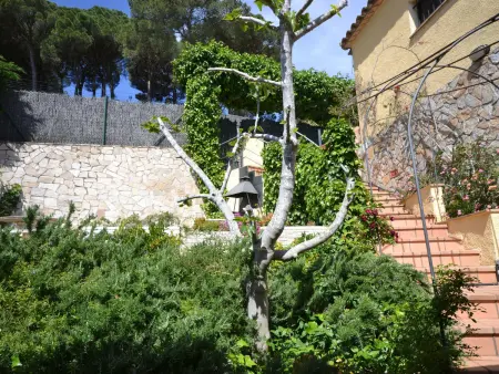 Charmante Maison Individuelle avec Piscine à Begur - Photo 5