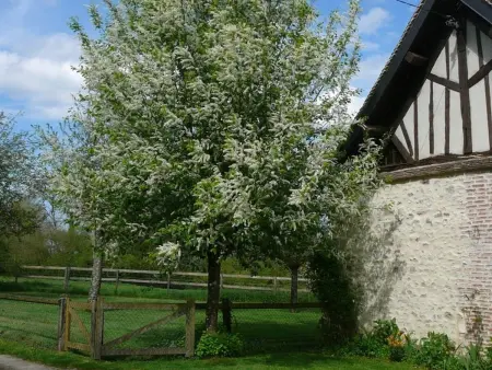 Charme Authentique à Bonnevent avec Vue et Calme - Photo 27