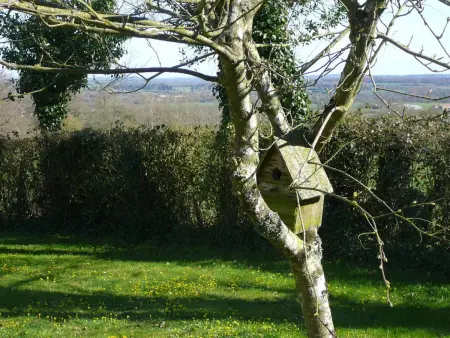 Charme Authentique à Bonnevent avec Vue et Calme - Photo 30