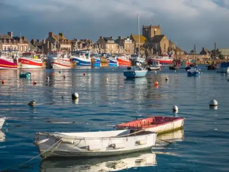 Charmante maisonnette à Vicq-sur-Mer, Gite 4 personnes à Vicq sur Mer - Photo 19