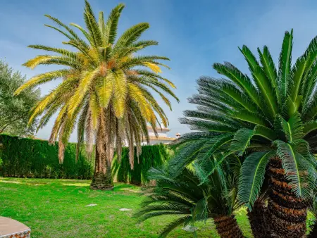 Villa Fili, Maison 5 personnes à Dénia - Photo 26