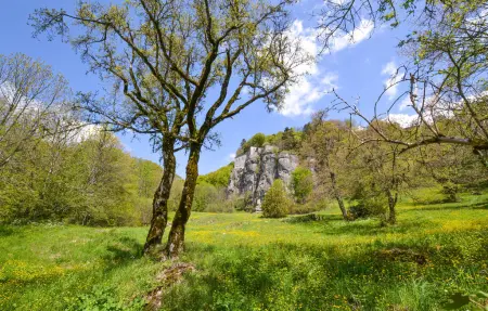 Maison 10 personnes à Arezzo - Photo 48