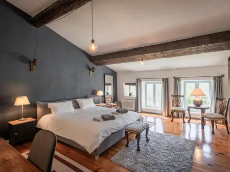 Lécurie, Ancienne ferme rénovée avec piscine privée - Photo 24