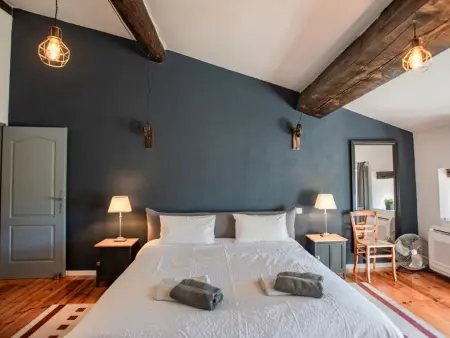 Lécurie, Ancienne ferme rénovée avec piscine privée - Photo 25