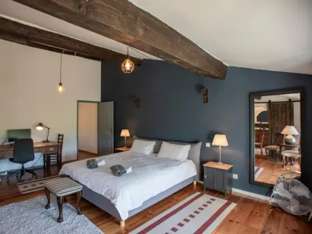Lécurie, Ancienne ferme rénovée avec piscine privée - Photo 27