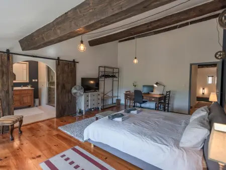 Lécurie, Ancienne ferme rénovée avec piscine privée - Photo 28