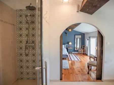 Lécurie, Ancienne ferme rénovée avec piscine privée - Photo 32