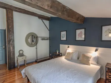 Lécurie, Ancienne ferme rénovée avec piscine privée - Photo 42