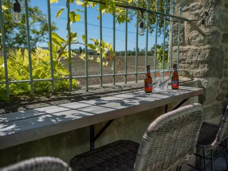 Lécurie, Ancienne ferme rénovée avec piscine privée - Photo 43