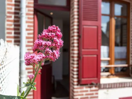La Casita, Maison 4 personnes à Deauville Trouville - Photo 15