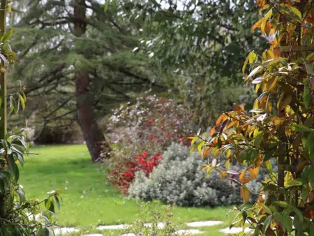 Charmante maison avec jardin clos à Saint-Pierre-des-Loges - Photo 30
