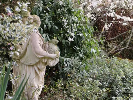 Charmante maison avec jardin clos à Saint-Pierre-des-Loges - Photo 31