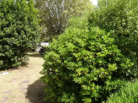 Maison familiale proche plage avec jardin, terrasse et 6 couchages à L'Épine - Photo 30