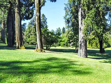 Villa Camelia, Maison 6 personnes à Porto Valtravaglia - Photo 28