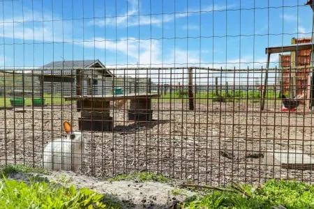 IN DE WOLLEKJES  “slapen bij of tussen de schapen”, Cottage dans une ferme ovine avec gelateria - Photo 32