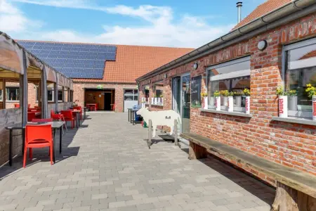 IN DE WOLLEKJES  “slapen bij of tussen de schapen”, Cottage dans une ferme ovine avec gelateria - Photo 37