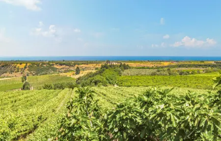 Maison 4 personnes à Pisticci - Photo 12