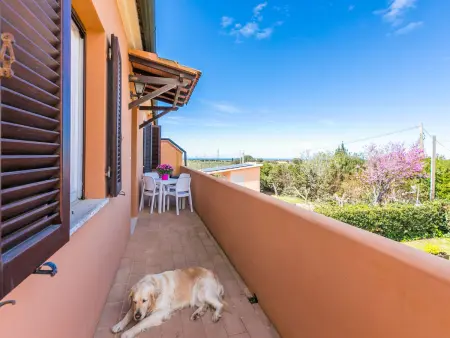 La Casina, Maison 10 personnes à Cecina - Photo 8