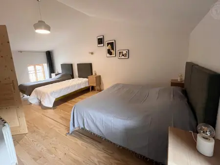 Gîte spacieux avec terrasse, nature et animaux acceptés - Photo 12
