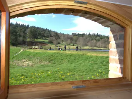 Gîte spacieux avec terrasse, nature et animaux acceptés - Photo 14