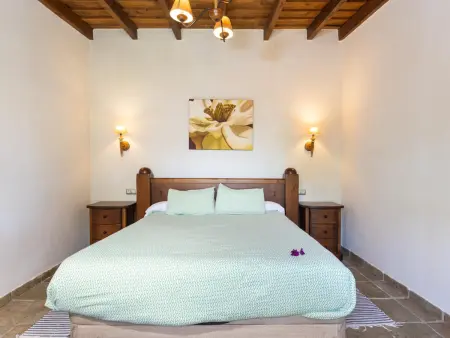 Maison rurale avec piscine chauffée et jardin à Icod de los Vinos - Photo 3