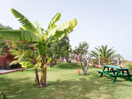 Petit Paradis à Icod de los Vinos: Casa el Mirlo avec Piscine Chauffée et Jardin Écologique - Photo 4