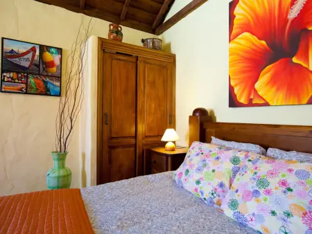 Petit Paradis à Icod de los Vinos: Casa el Mirlo avec Piscine Chauffée et Jardin Écologique - Photo 12