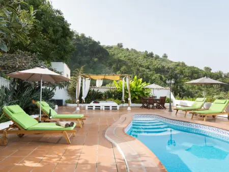 Petit Paradis à Icod de los Vinos: Casa el Mirlo avec Piscine Chauffée et Jardin Écologique - Photo 15