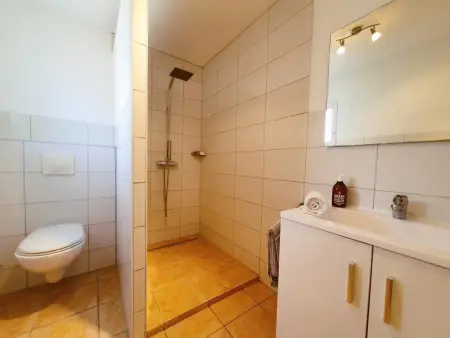 Roco Aigle, Maison familiale avec piscine et bain à remous - Photo 17