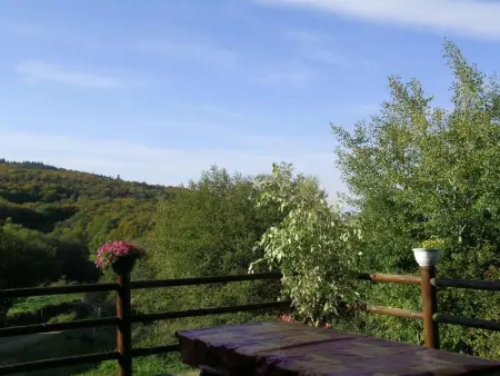 Maison rustique avec cheminée, jardin et animaux admis à Laprugne - Photo 1
