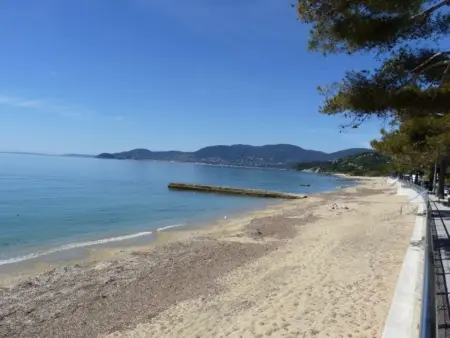 Maison 4 chambres avec piscine, jardin arboré & plage à 600m - La Croix-Valmer - Photo 26