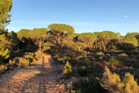 Mimosas, Villa à Vidauban près des Vignobles & Plages - Photo 37