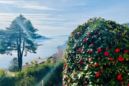 Villa Casa RosaMaria 4, Maison Romantique au Lago Maggiore avec Jardin - Photo 26